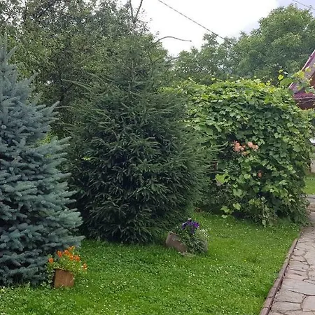 Gæstehus зґарда *